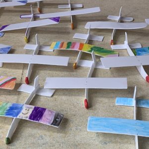 MINT-Tag: Flugzeug- und Bäumebau