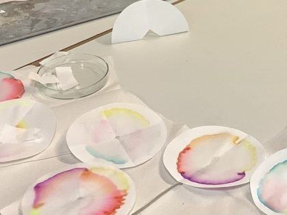 PROBEX – Abschluss: Chemie für Viertklässler:innen