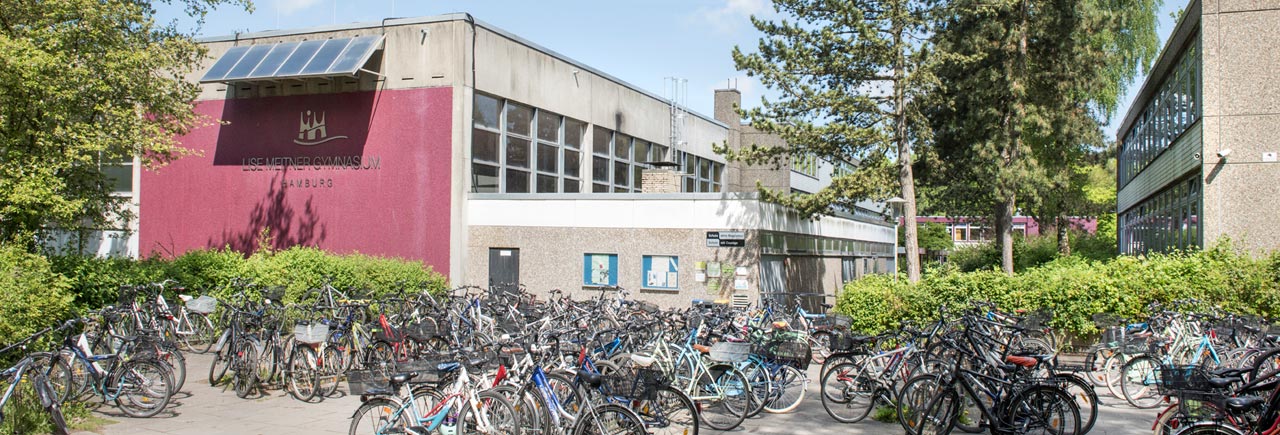 schulef