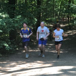 Lions-Lebenslauf 2018