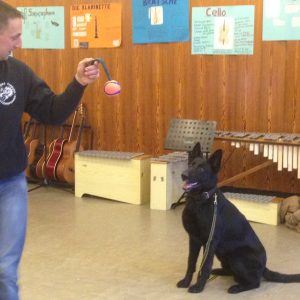 Polizeihund Kaspar zu Besuch im Biologieunterricht