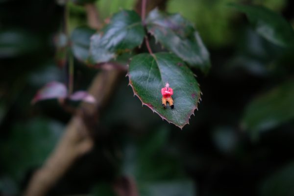 Sitzend (8D)