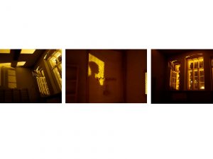 Licht-Schatten (Jg. 11)