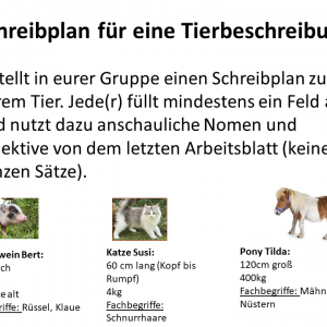 Hund, Katze, Maus – Tiere beschreiben können