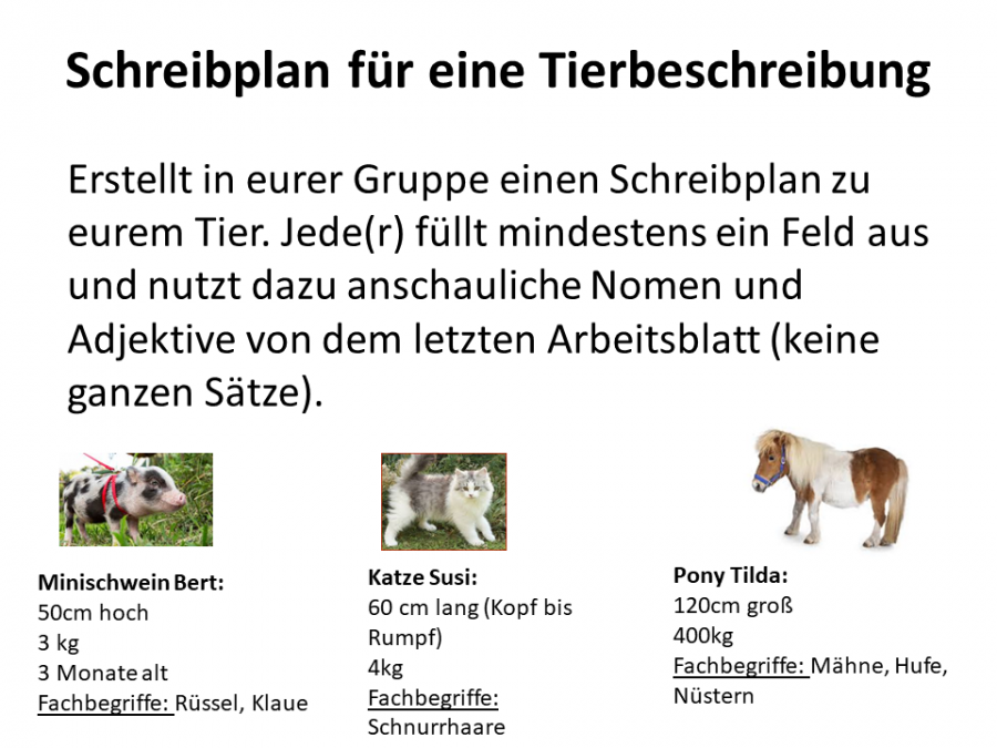 Tierbeschreibung Klasse 5 übungen Pdf Kostenlos www.lmg-hamburg.de