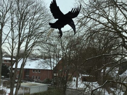 Vogelsch…