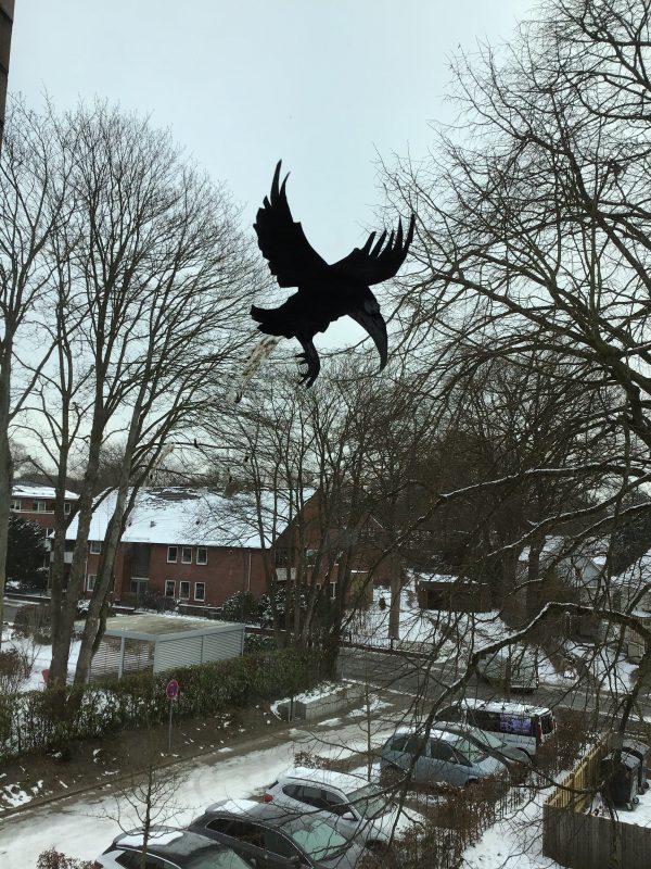 Vogelsch…