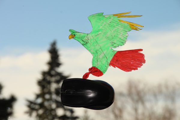 Falscher Fang