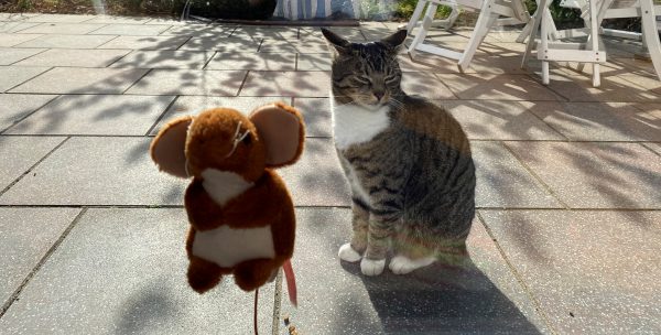Katz und Maus