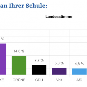 Überholt die Linke die SPD auch auf Landesebene? Das LMG hat seine Wahl getroffen.